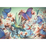Hummingbird