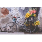 Bicycle - Puzzle Moment