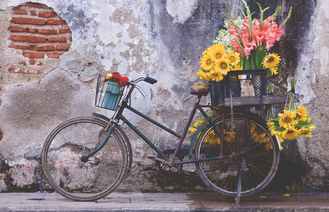 Bicycle - Puzzle Moment