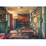 Mysterious castle library - Lost Places