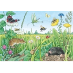 Wieso? Weshalb? Warum? - Tiere im Wald und Wiese