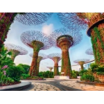 Garden by the Bay in Singapur