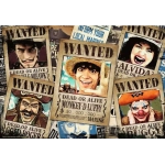 One Piece - Wanted!