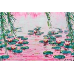 Pink Water Lilies