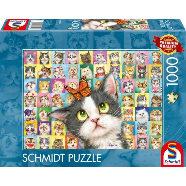 Katzen-Mimik