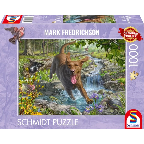 Hundeliebe: Frühlingsspaziergang mit Labrador Retriever - Mark Fredrickson