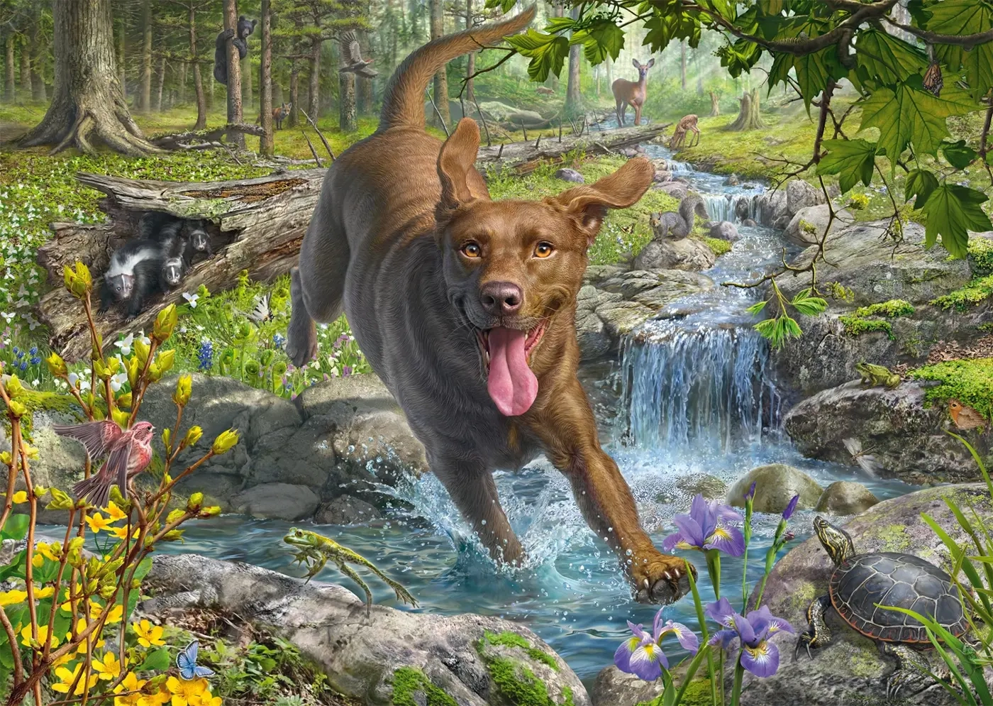Hundeliebe: Frühlingsspaziergang mit Labrador Retriever - Mark Fredrickson