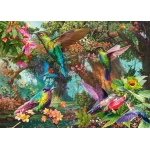 Farbenspiel der Kolibris