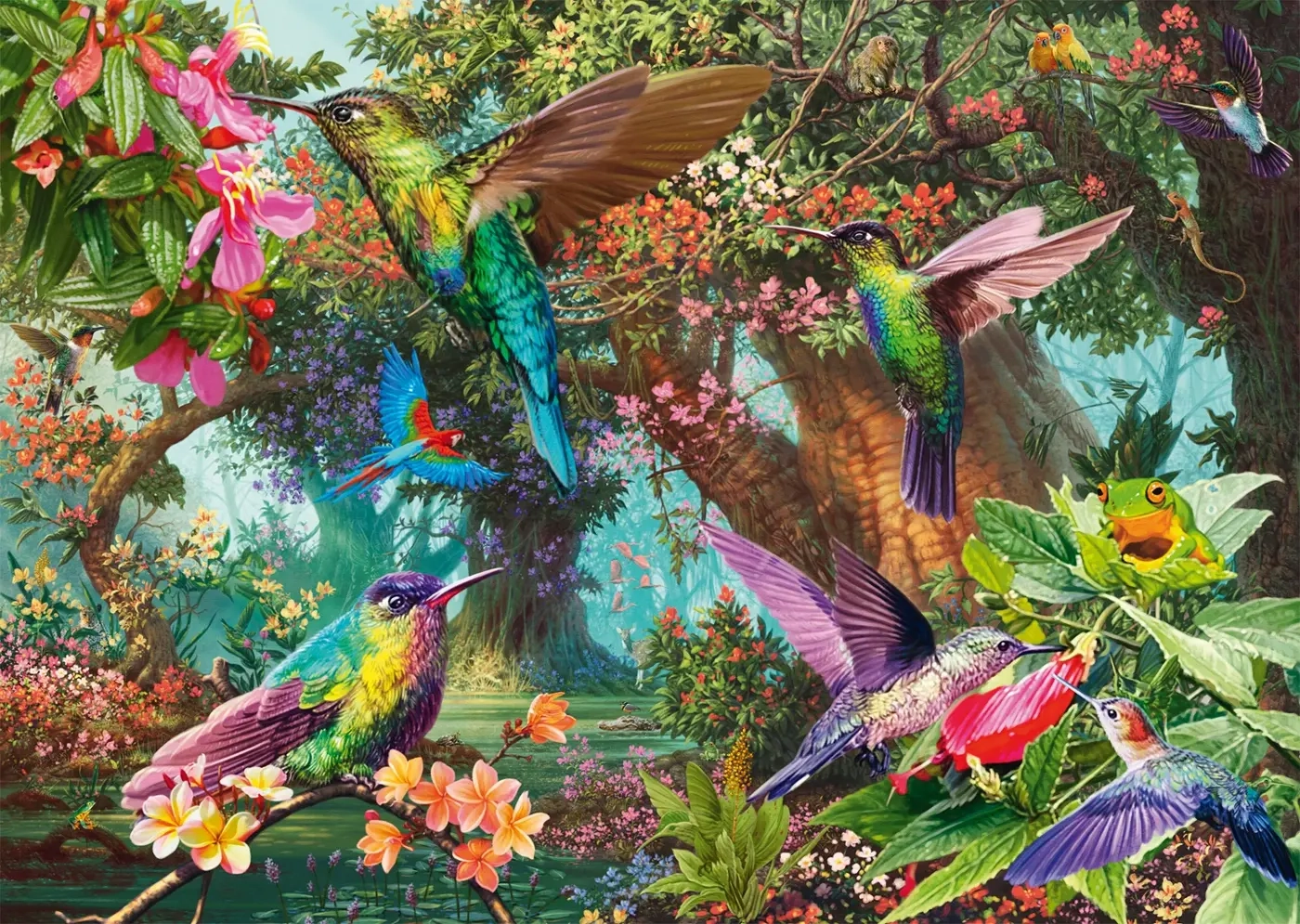 Farbenspiel der Kolibris