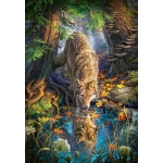Wolf in the Wild