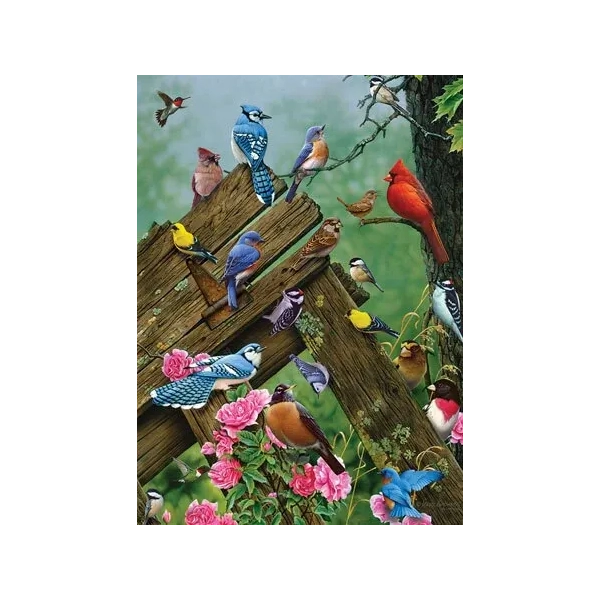 Birds of the Forest