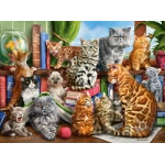 House of Cats