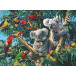 Koalas im Baum