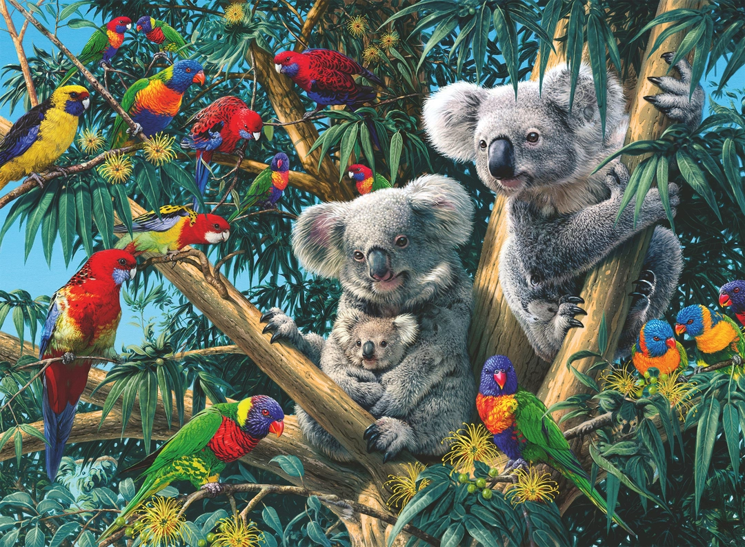 Koalas im Baum