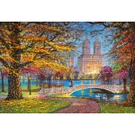 Autumn Stroll - Central Park