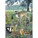 Woodland Friends