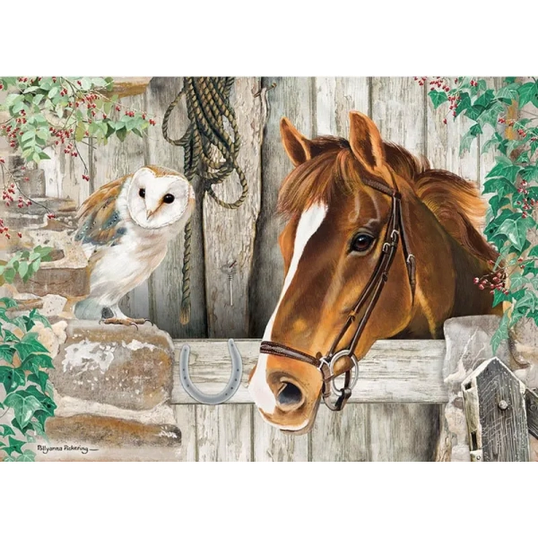 The Stable Door