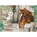 The Stable Door