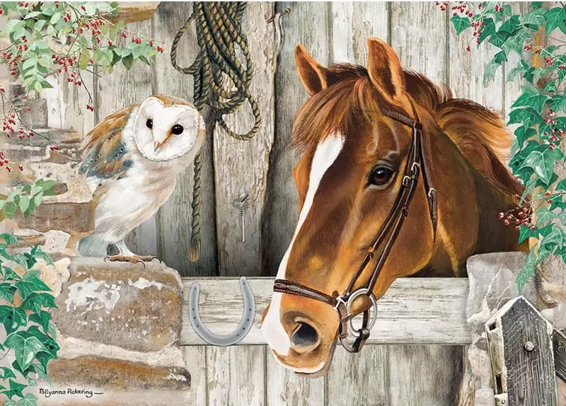 The Stable Door