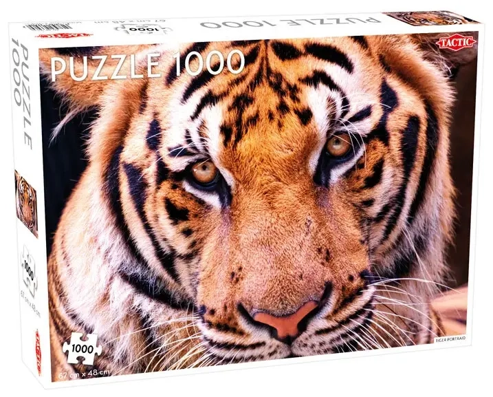 Tiger-Porträt