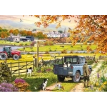 Countryside Morning