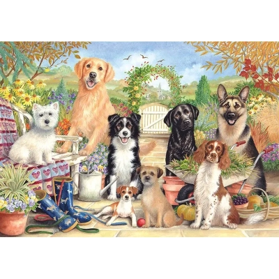 Niedliche Hunde