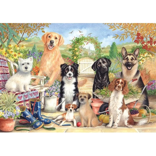 Niedliche Hunde