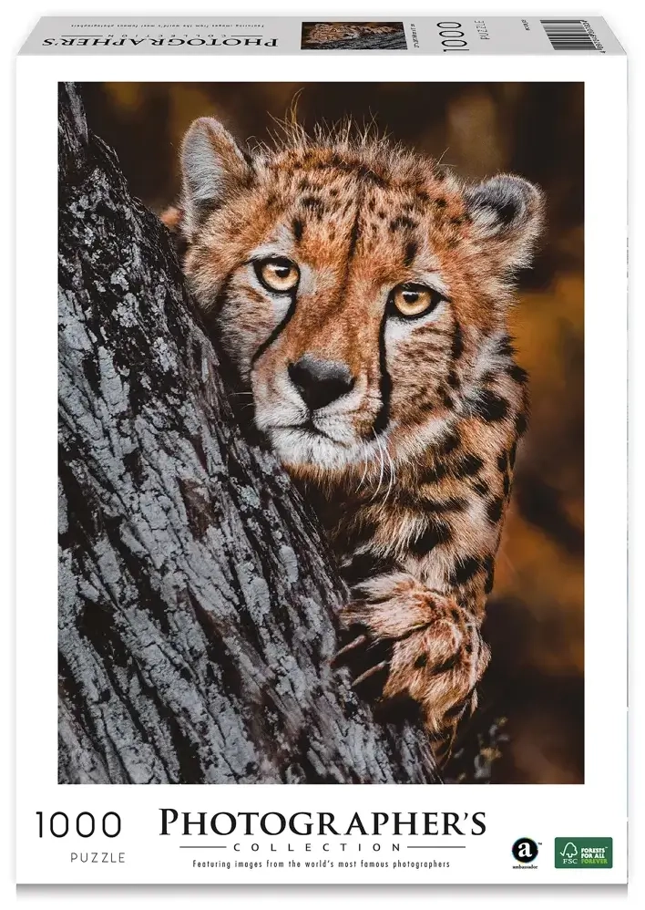 Gepard
