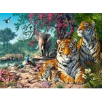Tiger Schutzgebiet