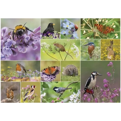 RSPB - Bird & Wildlife