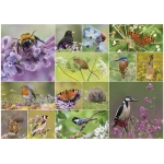 RSPB - Bird & Wildlife