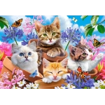 Kittens with Flowers