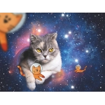 Katzen fliegen im Weltall