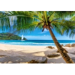 Urlaub auf den Seychellen