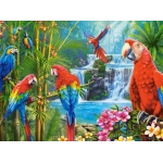 Parrot Meeting