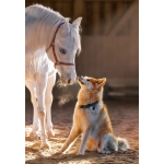 Unique Friendship