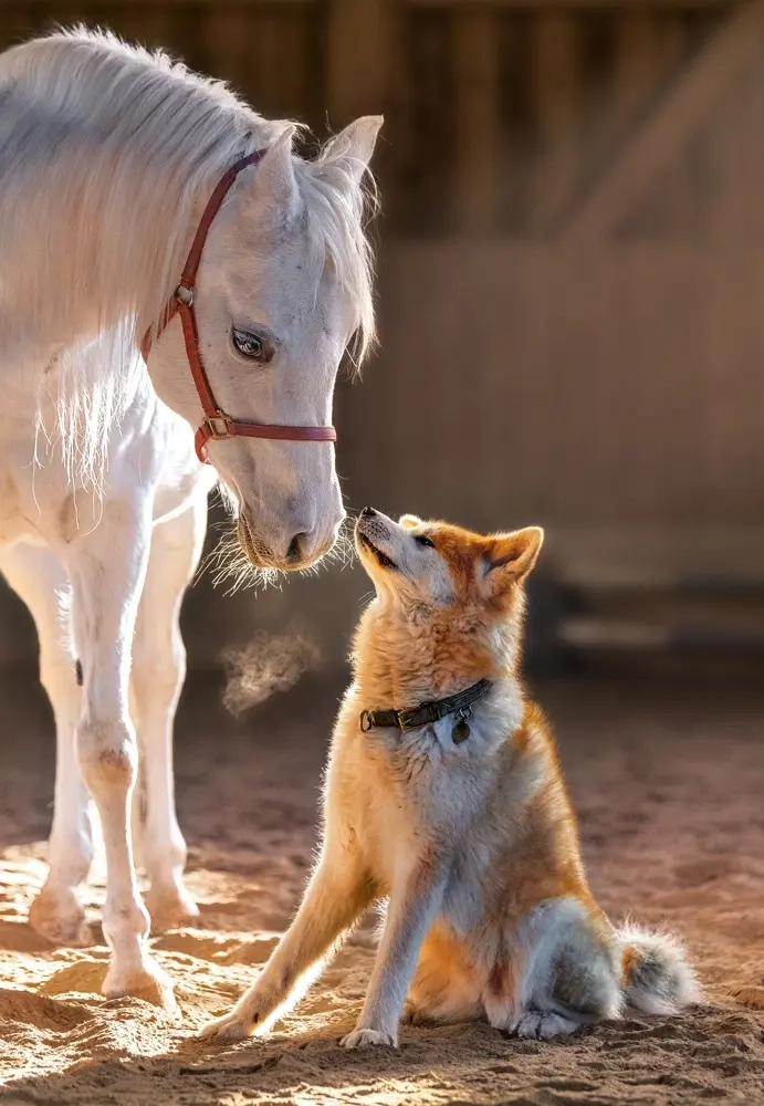 Unique Friendship