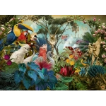 Birdiversity