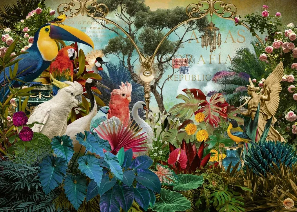 Birdiversity