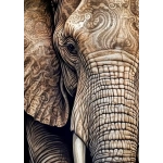 Ancestral Patterns