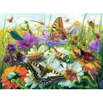 Wunderwelt der Insekten