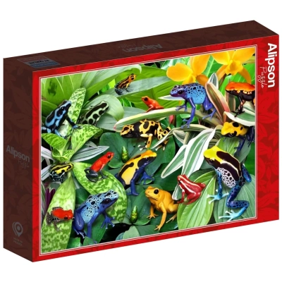 Fun Frogs