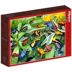 Fun Frogs