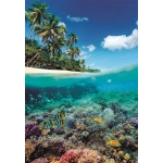 Im Sommer-Paradies