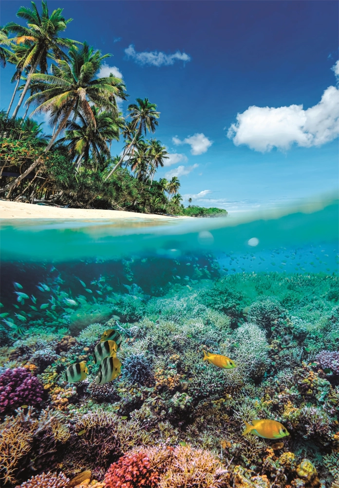 Im Sommer-Paradies