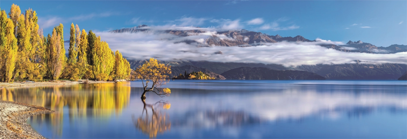Reflektionen in Gold am Wanaka See