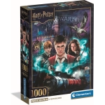 Harry Potter | Die Zauberschüler von Hogwarts