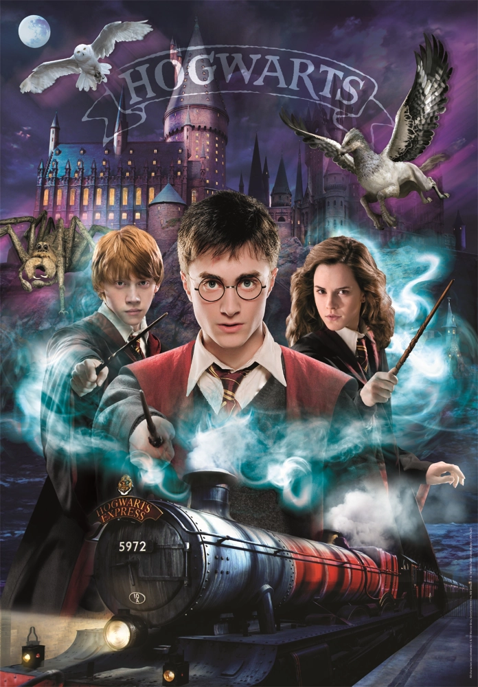 Harry Potter | Die Zauberschüler von Hogwarts