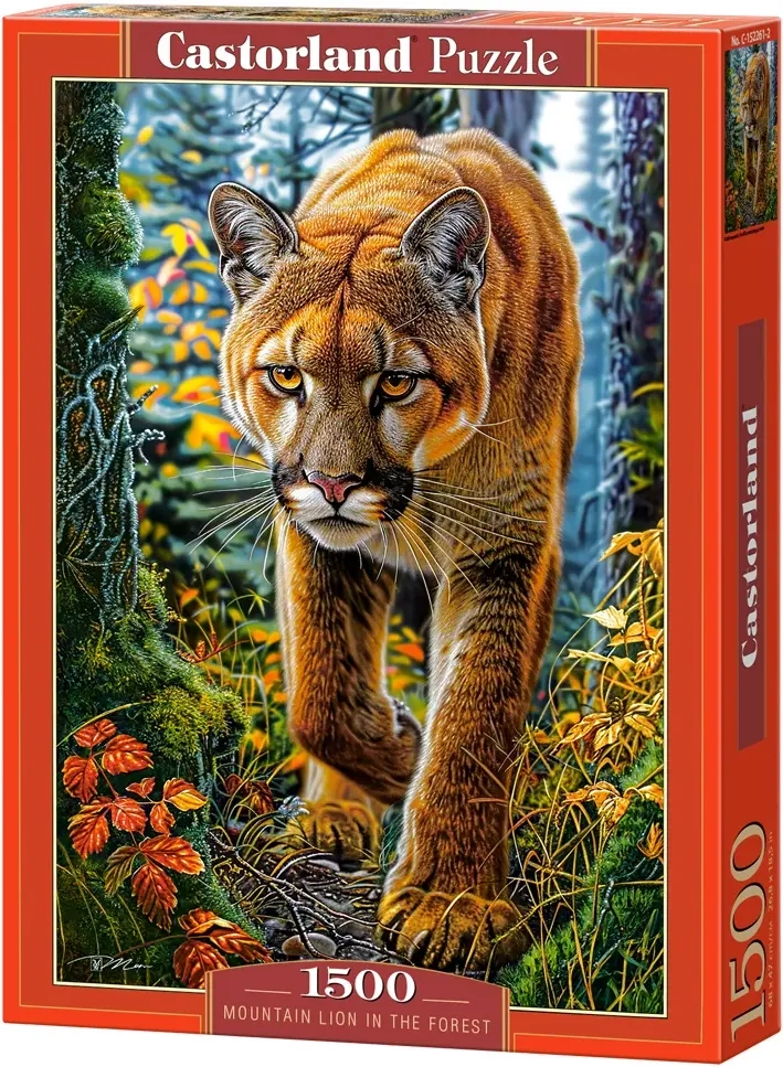 Berglöwe im Wald