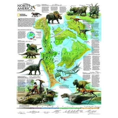 Nordamerikanische Dinos